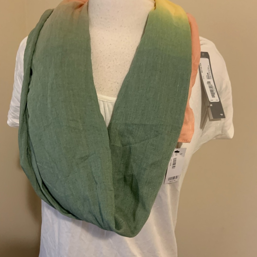 Brand New The Limited tri-color scarf